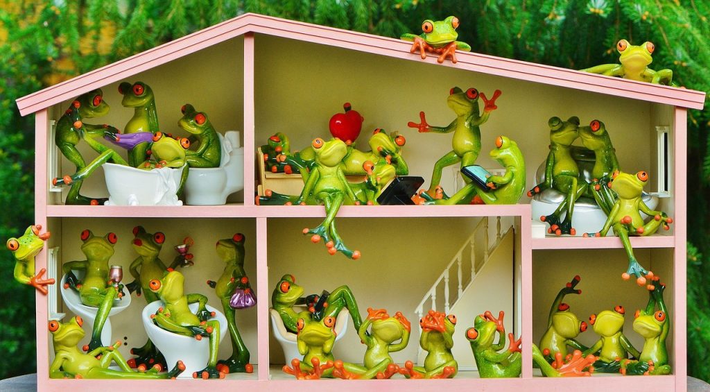 frogs, fun, house-1382827.jpg