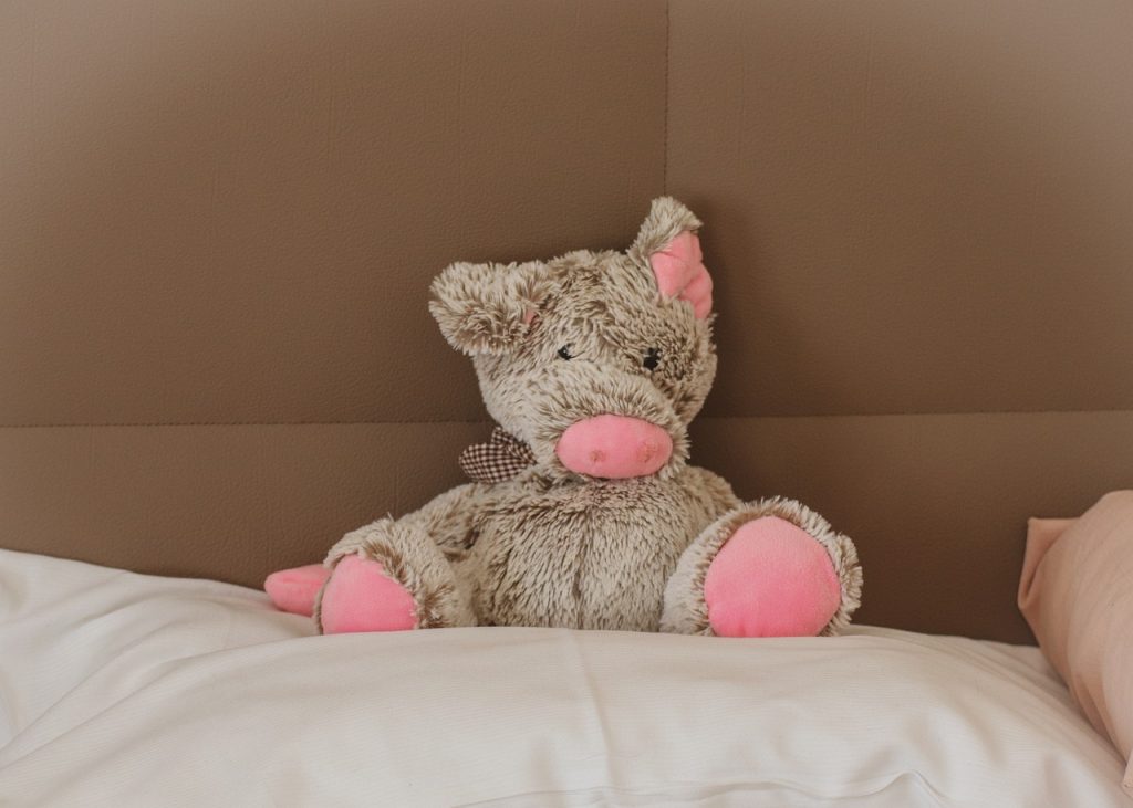 stuffed animal, pig, pillow-4005689.jpg
